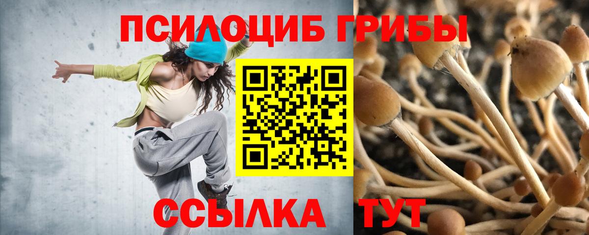 Галлюциногенные грибы ЛСД Азов